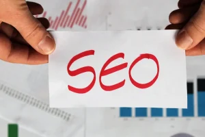 search-engine-optimization-stellor-it-services-noida